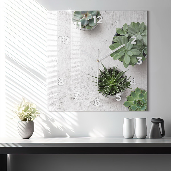 Štvorcové hodiny Dekoratívne rastliny