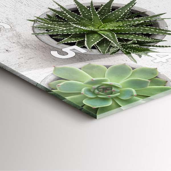 Štvorcové hodiny Dekoratívne rastliny