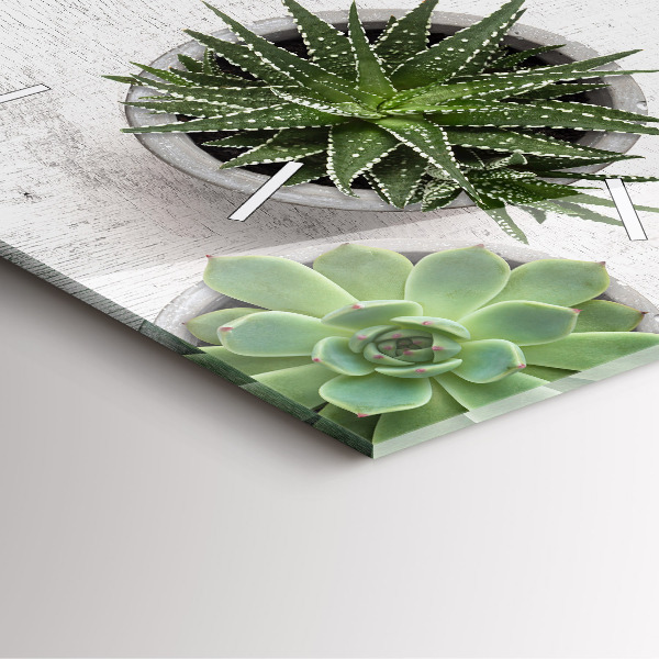 Štvorcové hodiny Dekoratívne rastliny