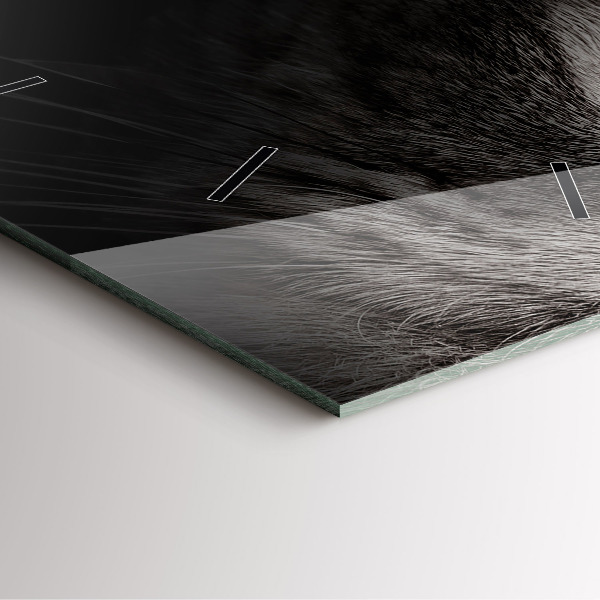 Štvorcové hodiny Škótsky pes a mačka