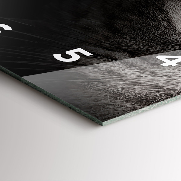 Štvorcové hodiny Škótsky pes a mačka