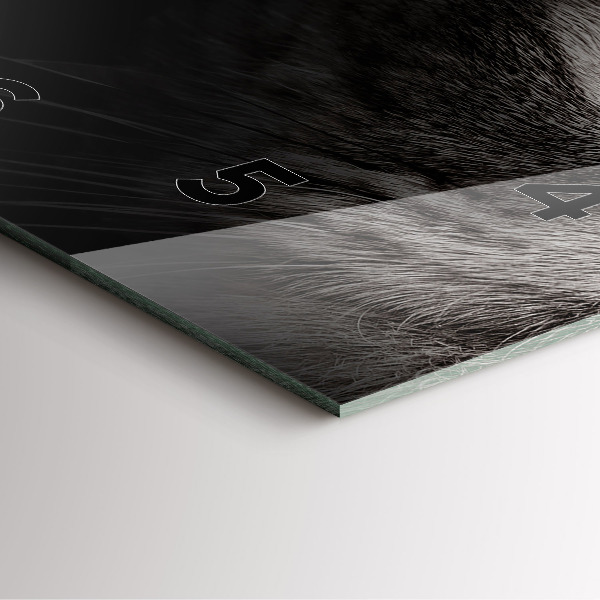 Štvorcové hodiny Škótsky pes a mačka