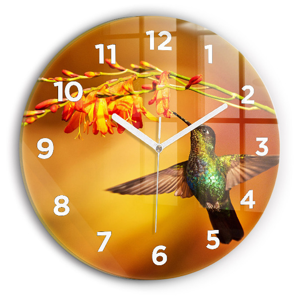 Okrúhle hodiny Kolibrík vták