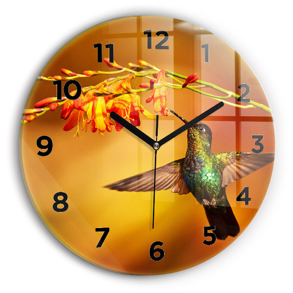 Okrúhle hodiny Kolibrík vták