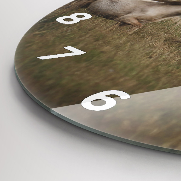 Okrúhle hodiny Kone v cvale