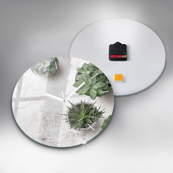 Okrúhle hodiny Dekoratívne rastliny